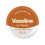 بالم لب وازلین Vaseline حجم 20 گرم